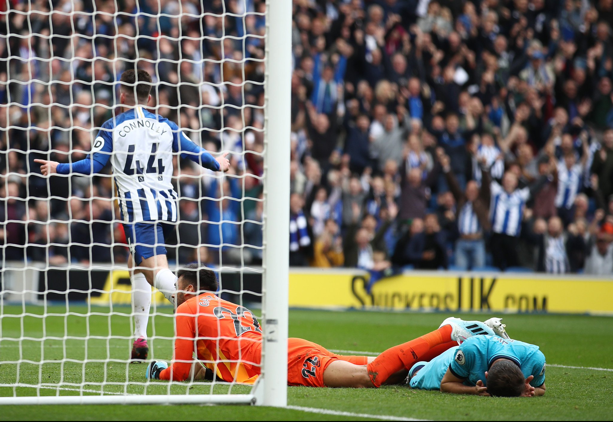 供了参考 供了参考