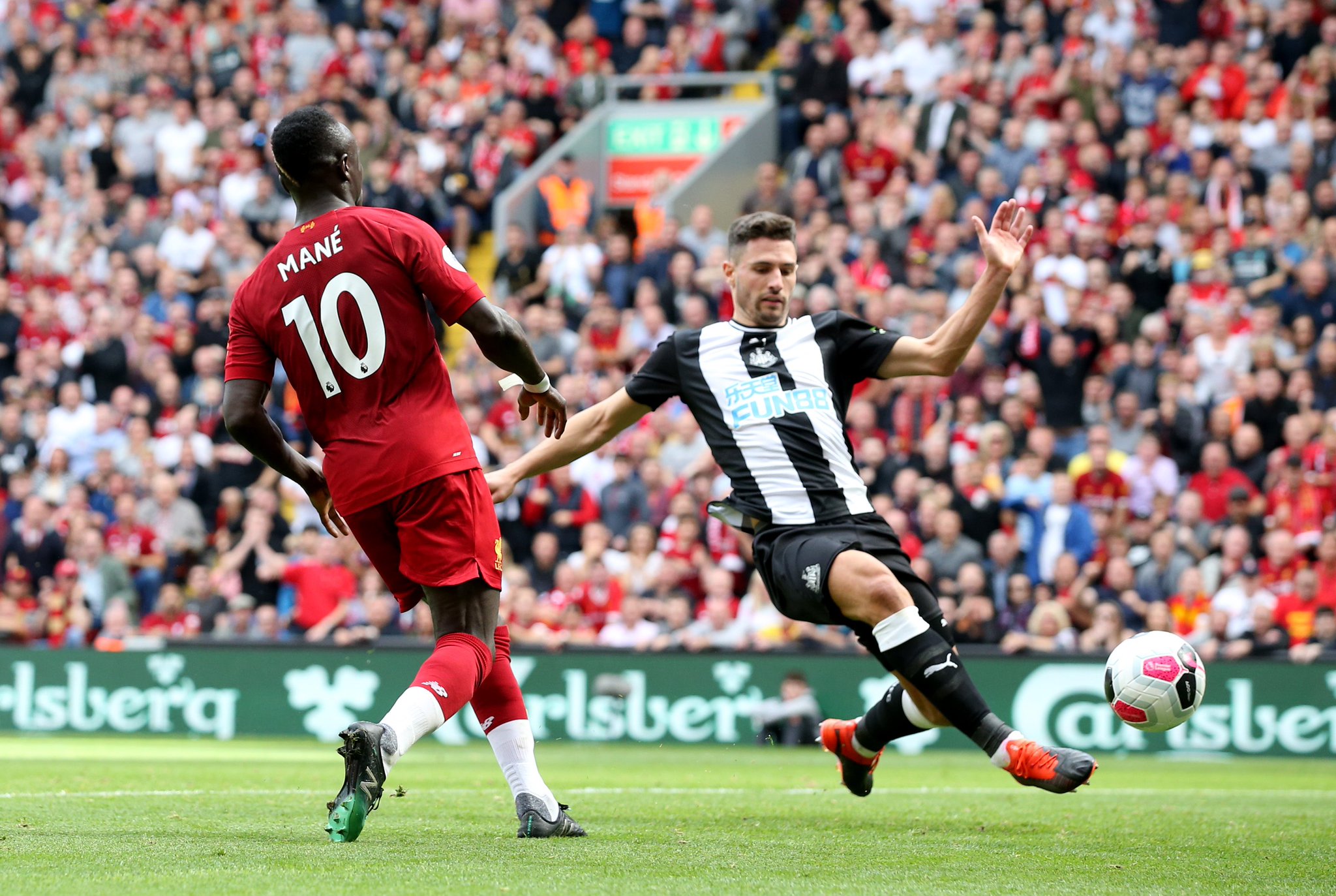 游泳奥运冠 游泳奥运冠